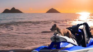 yamaha jet ski at the beach